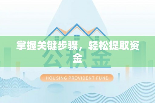 上海掌握关键步骤，轻松提取资金