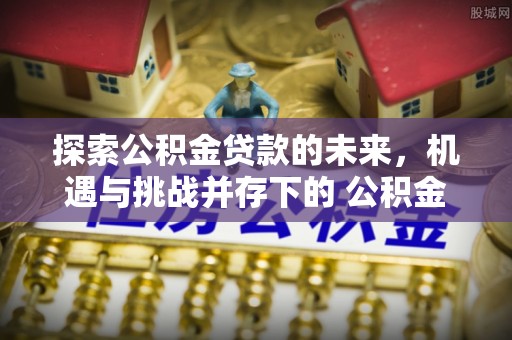 上海探索公积金贷款的未来，机遇与挑战并存下的 公积金贷款风险防控