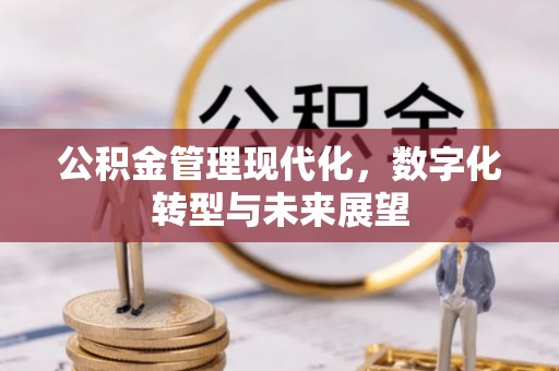 上海公积金管理现代化，数字化转型与未来展望
