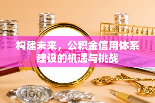 上海构建未来，公积金信用体系建设的机遇与挑战