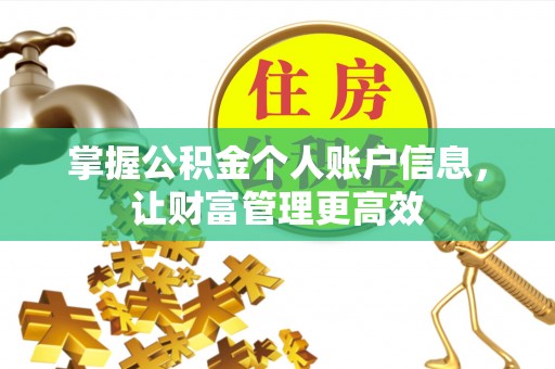 上海掌握公积金个人账户信息，让财富管理更高效