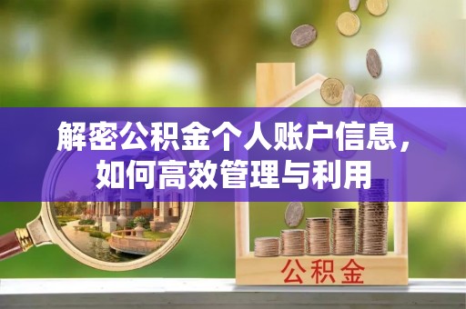 上海解密公积金个人账户信息，如何高效管理与利用