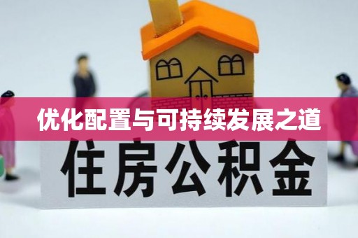 上海优化配置与可持续发展之道